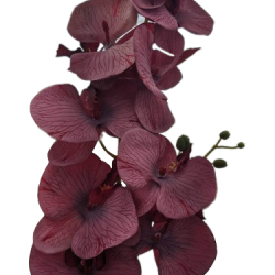 Orhidee artificiala, 100 cm