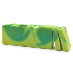 Sapun natural - Aloe Vera, 90 gr